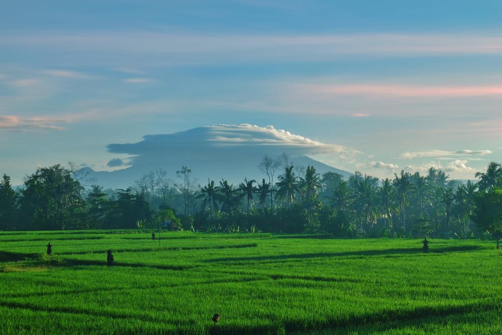 Putra Guest House Ubud Eksteriør bilde